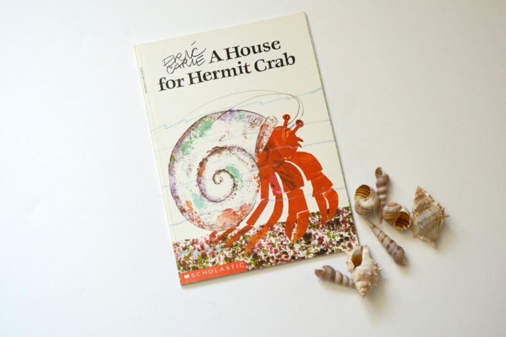 Photo of picture book A House for Hermit Crab on a white background.